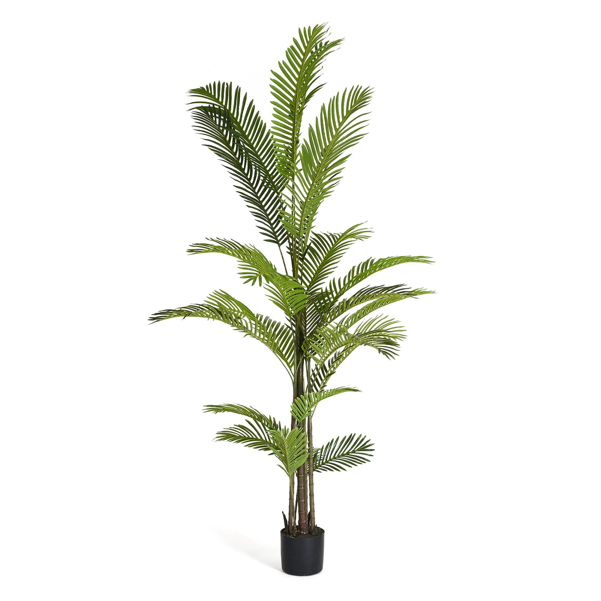 Palm Tree - Artificial, H:200 cm