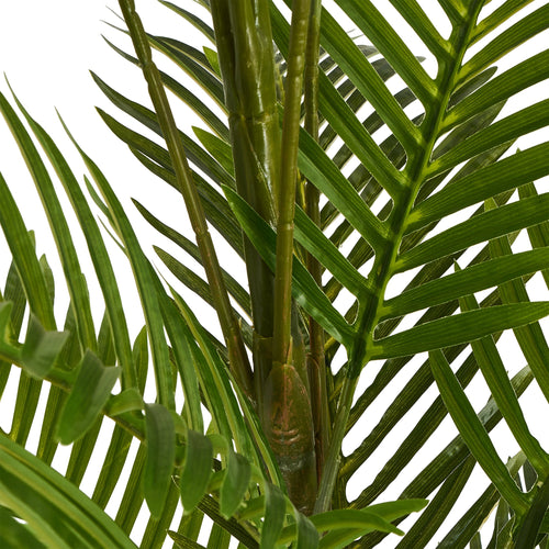 Palm Tree - Artificial, H:200 cm