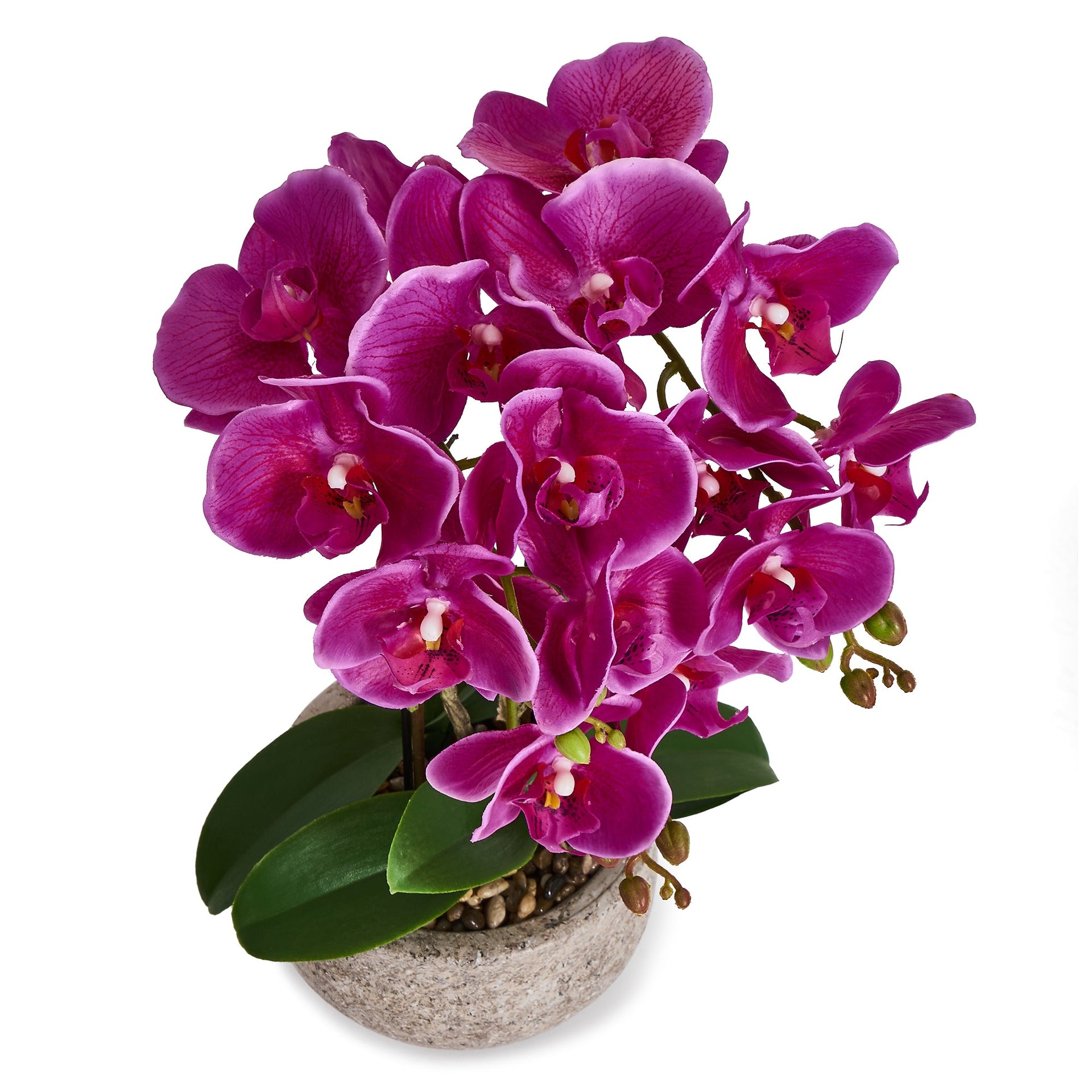 Artificial Orchid Dark Purple H42 cm - Lifelike with Concrete Pot Ø25 cm