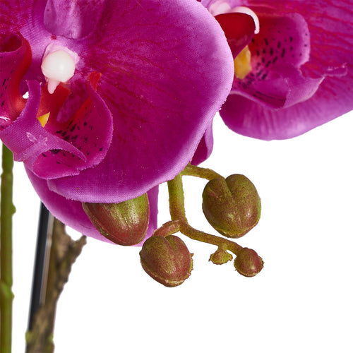 Artificial Orchid Dark Purple H42 cm - Lifelike with Concrete Pot Ø25 cm
