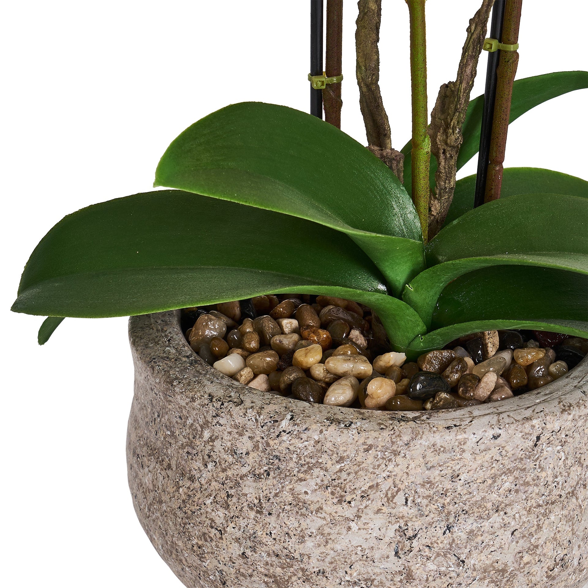 Artificial Orchid Dark Purple H42 cm - Lifelike with Concrete Pot Ø25 cm