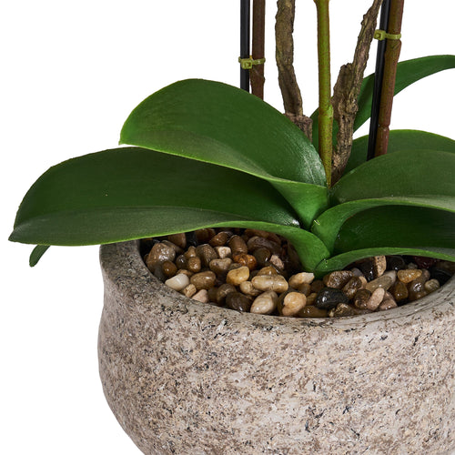 Artificial Orchid Dark Purple H42 cm - Lifelike with Concrete Pot Ø25 cm