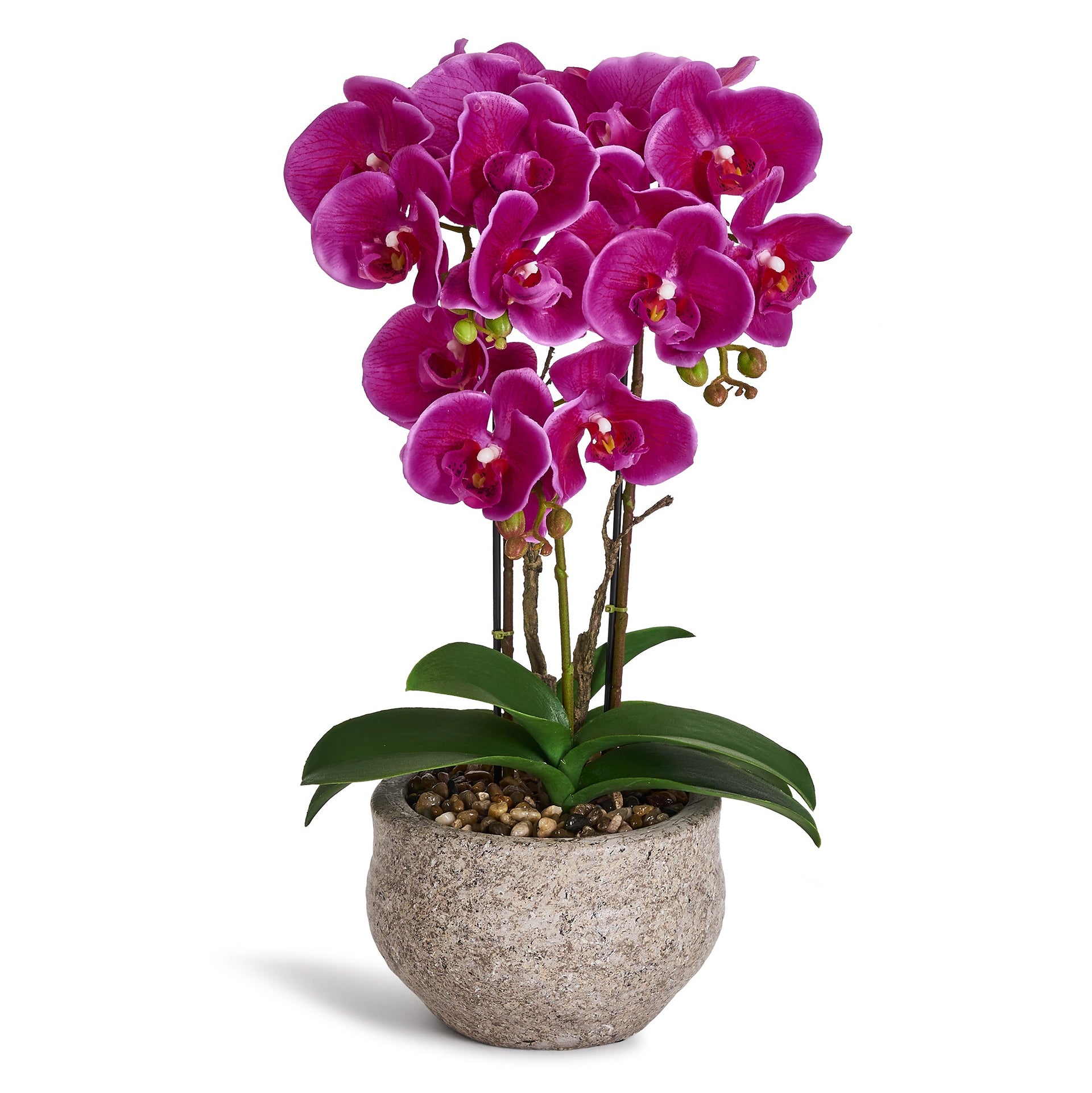 Artificial Orchid Dark Purple H42 cm - Lifelike with Concrete Pot Ø25 cm